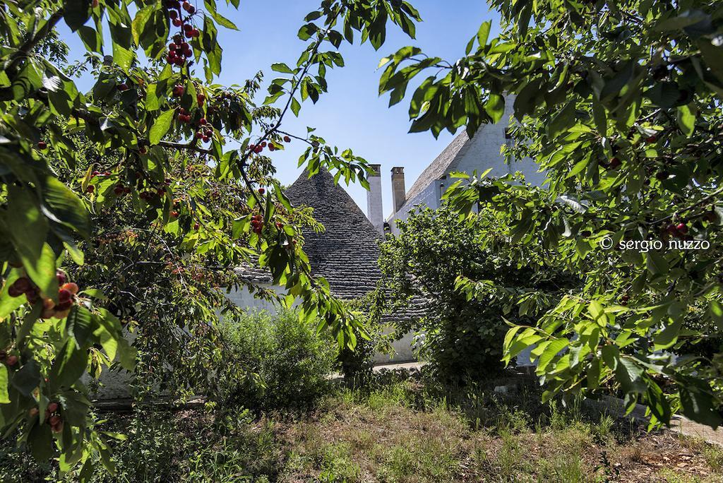 Masseria Mazzalorsa *